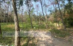 1,464 Sqm of Garden View Land, Thong Krut